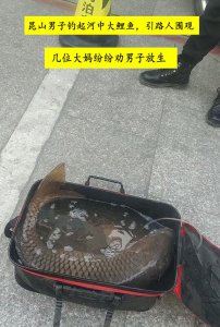 ​江苏男子河道钓获“鲤鱼王”，围观大妈劝其放生，男子：100卖你