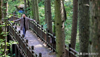 ​河南这个免门票的景区，爬山不累人，秋景好看，适合中老年人