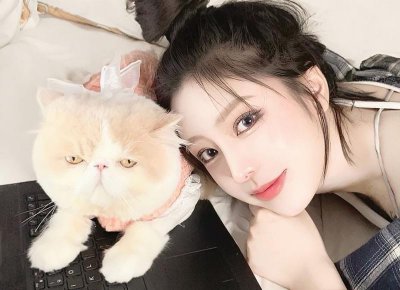 ​形容猫魅惑的简短句子细选56句