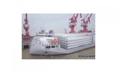 ​大海和海豚的简短句子收集100条
