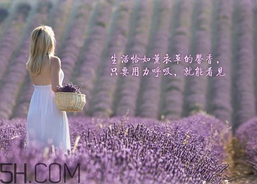 香柏树薰衣草敏感修复乳液怎么样？多少钱？