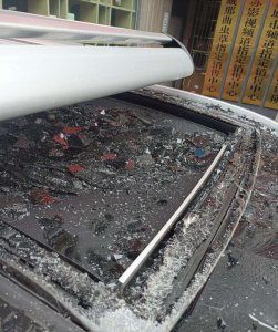​“天降”流浪猫砸坏小车，南京车主不予追究，律师解读：流浪动物闯祸如何追赔