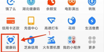 ​支付宝上如何查看14天内的行程大数据