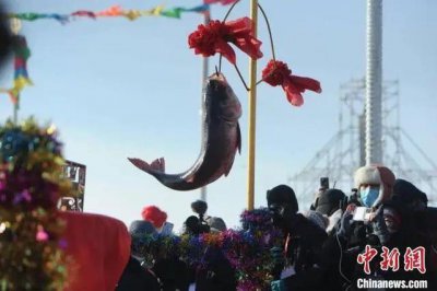 ​1条天价鱼，卖出299.9999万！因为能带来吉祥？