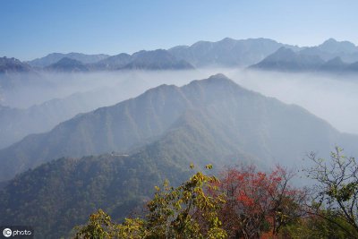 ​终南山隐士也不能免俗，交不起租金，只能被迫下山