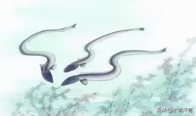 ​蛇怕黄鳝的说法源于何处？望月鳝：从我拥有“化骨绵身”开始