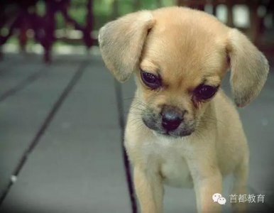 ​说文解字-命途多舛，jié还是chuǎn？