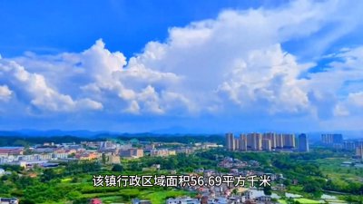 ​晋江市金井镇