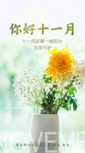 ​十一月你好早安图片 十月再见文案 遇见更好的自己 所有美好如期而至