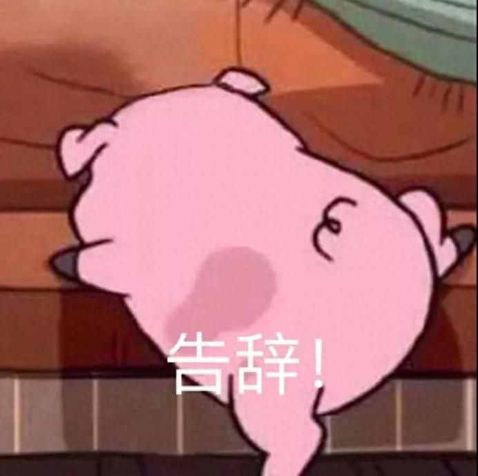 猪年专用猪猪头像