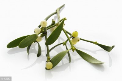 ​香橼皮性味苦温，能燥湿化痰，可用于痰湿壅滞或兼有气滞咳痰之证