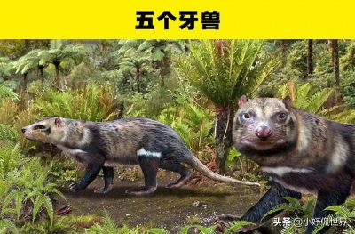 ​科学家们发现的8种非常奇特的史前动物