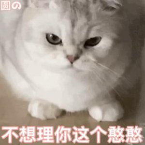 ​表情包｜对对对，是是是，好好好