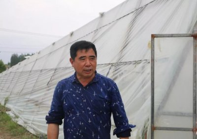 ​模式大升级，让罗氏沼虾养殖重回高价时代