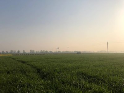 ​顾城《门前》赏析