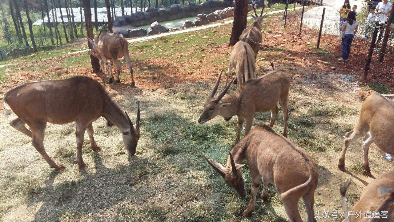云南昆明十大旅游景点