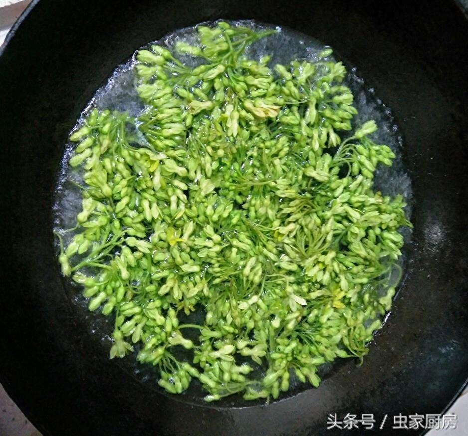 夜兰花，一种能吃的花