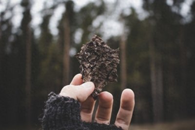 ​人在最低谷时，千万不要去打扰不相干的人，当好哑巴，莫忘初心。