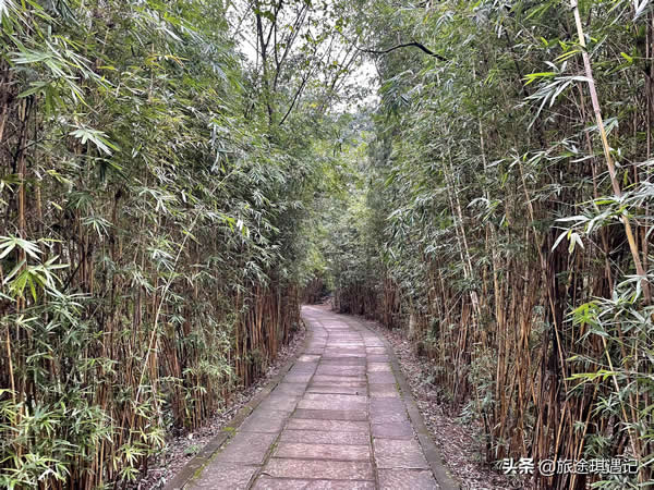 庞统在落凤坡到底是怎么死的（德阳落凤坡在哪里）(图2)
