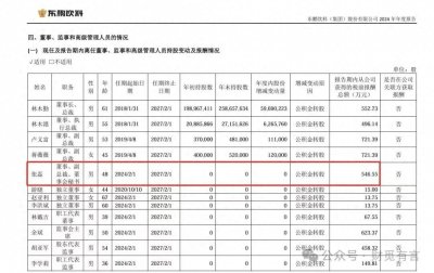 ​董秘江湖：夹缝中的“合规守门人”