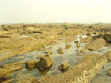 3、刘家湾遗址