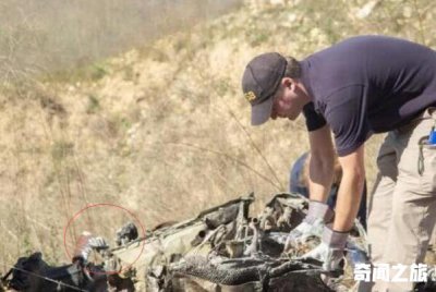 ​科比死亡受伤部位解析图（据说都是死于钝器伤）
