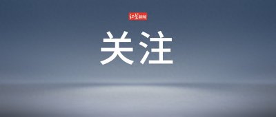 ​“私人陪游”？19岁女子被判刑4年3个月
