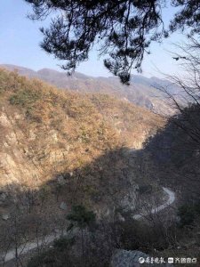 ​初冬时节，山东药乡国家森林公园撷影
