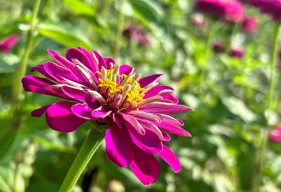 ​夫妻经常吵架，却没想过离婚的原因：两个字