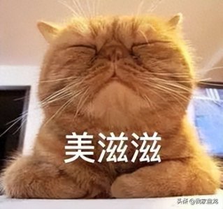 ​春节期间快递会停运吗？最新官方回应来了！