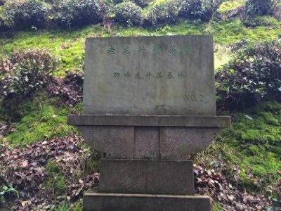 ​龙井茶的原核心原产地在哪里？