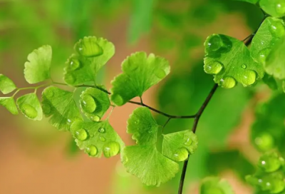 ​游戏昵称取啥 游戏名字叫啥好听