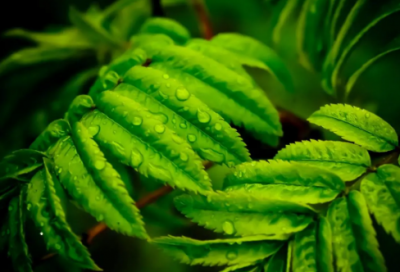 ​好听忧伤的网名（优选49个）
